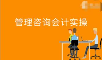 行業(yè)帳視頻下載 企業(yè)管理咨詢業(yè)務(wù)解析 企業(yè)經(jīng)營(yíng)中的稅務(wù)事項(xiàng)管理